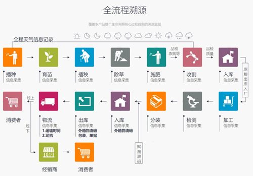 種業(yè)信息化